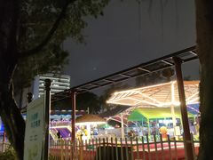 -金砂公园