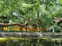 -西园戒幢律寺