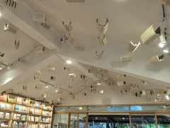 -猫的天空之城概念书店(束河店)