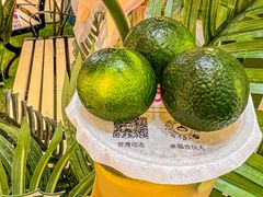 -咕噜咕噜·章鱼小丸子(广州荔湾领展广场店)
