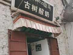 -古树酸奶(八廓南街店)