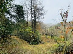 -四明山国家森林公园