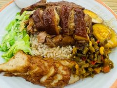 -瑞霖·隆江猪脚饭