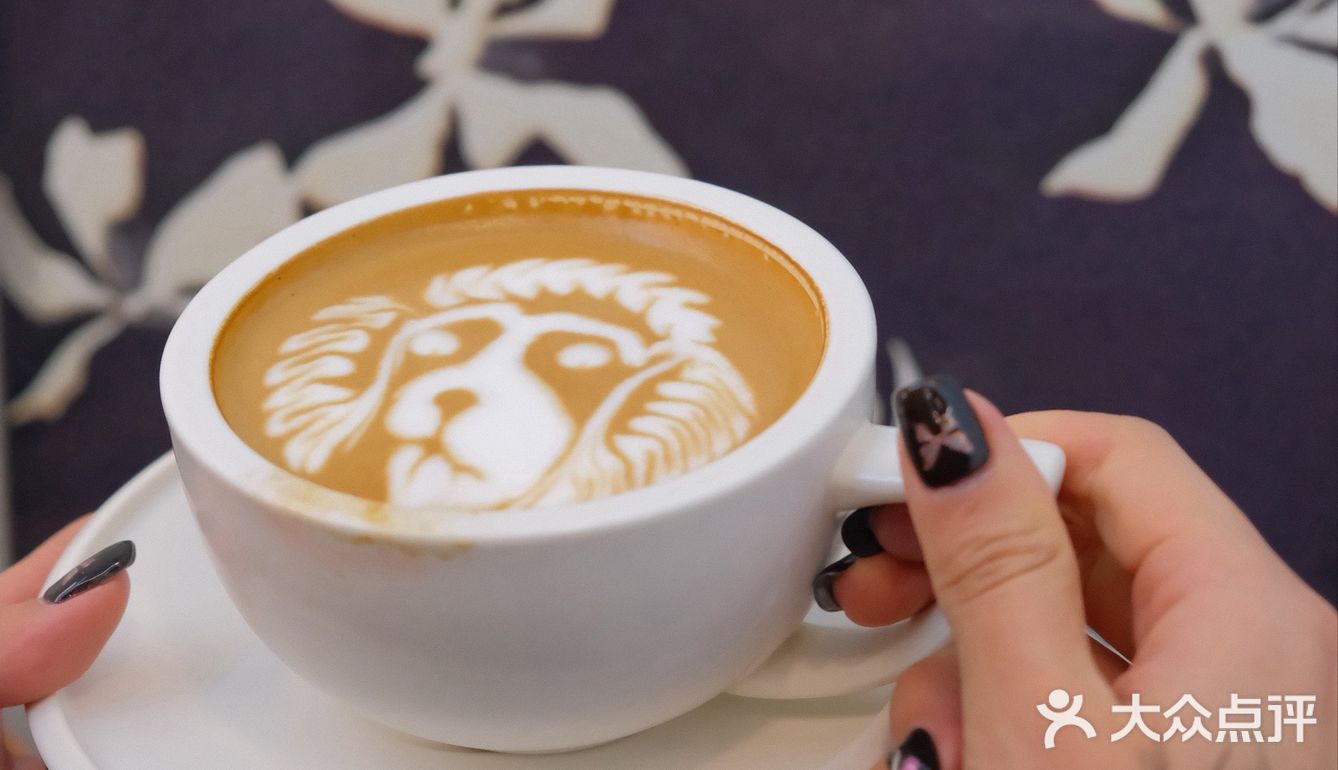 ☕沈阳首届咖啡地图来啦！一次打卡五家，快冲！✨