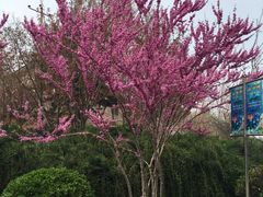 -石家庄市动物园