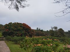-中国科学院西双版纳热带植物园