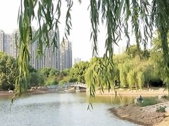 -堤角公园