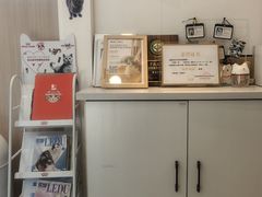 -瑞派·关忠动物医院·猫专科·犬专科(三环新城店)