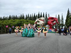 -黄海国家森林公园