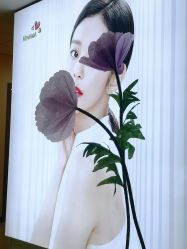 -北京爱育华医院-医疗美容科