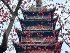 -常熟方塔园
