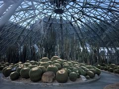 -深圳仙湖植物园