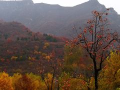 -北京上方山国家森林公园