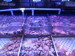 水产区-韩盛·盛江山自助料理(中街大悦城店)
