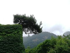 -武当山风景区