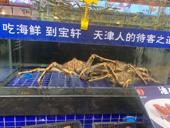 -宝轩渔府·老字号海鲜·正宗津菜(水上店)