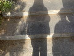 -五龙城郊森林公园