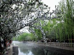 -海棠花溪(元大都城垣遗址公园)