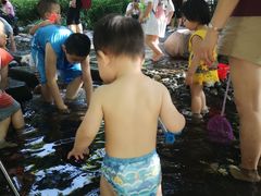 -成都市活水公园
