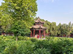 -洛阳白马寺