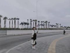 -海堤纪念公园