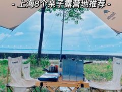 -春花秋色城市公园