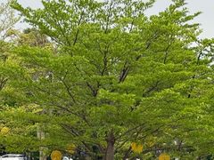 -风云岭森林公园