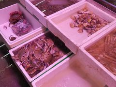海鲜-长平肥姐白粥·海鲜打冷