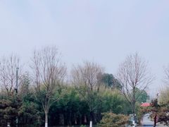 -武汉园博园(武汉自然博物馆)