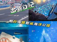 -烟台海昌鲸鲨海洋公园