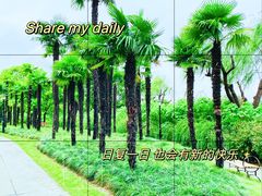 -黄兴公园
