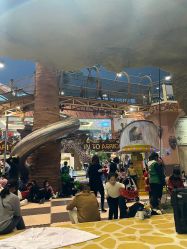 -卡通尼·Safari非洲探索乐园·生日会(金桥国际商业广场店)