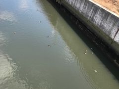 -名古屋城