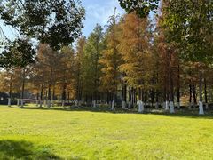 -太湖饭店玉兰厅(自助餐厅)