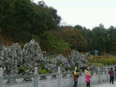 -神光山国家森林公园