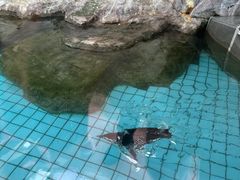 -上海野生动物园