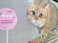 -方浜中路45弄小区