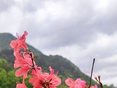 -明堂山风景区
