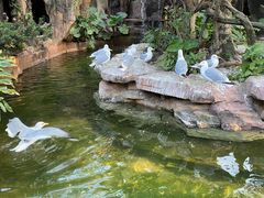 -长鹿旅游休博园