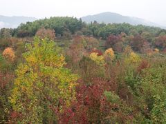 -塔川景区