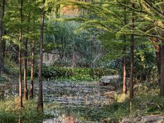 -昆山城市生态森林公园