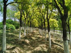 -永定河休闲森林公园