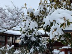 -医王山·飞騨国分寺