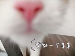 -猫友咖啡店(玉林西路店)