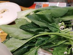 -成老灶火锅鸡(平山店)