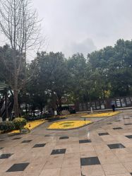 -浙江大学医学院附属妇产科医院(湖滨院区)