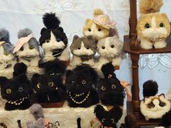 -光大会展中心国际大酒店-宴会厅