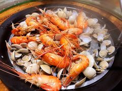 罗氏虾-渔文乐农庄