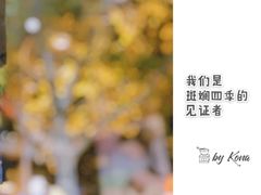 -安琳acKONA咖啡(市南店)