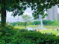 -香蜜公园